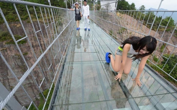 پردی شــــــــووشــــــە