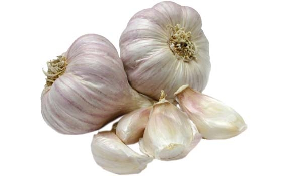 سوودەكانی سیر