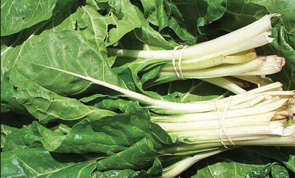 نوێترین بەهای خۆراكی سڵق