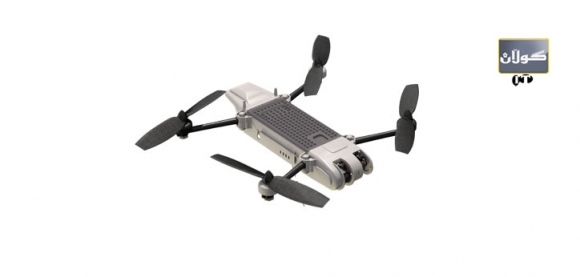 سنایپ باڵندەیەكی چوارچاوی سیخوڕی