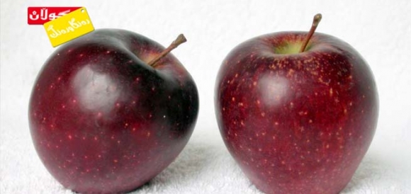 سوودەكانی سێو بۆ كۆئەندامی هەرس