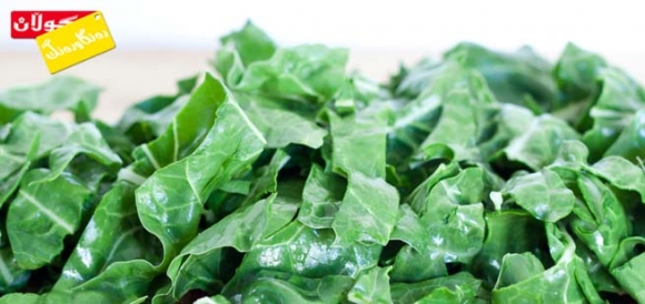 سوودەكانی سڵق. نوێترین زانیاری