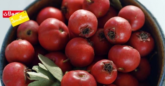 سوودەكانی گێوژ