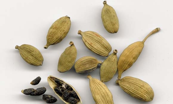 سوودەكانی هێل