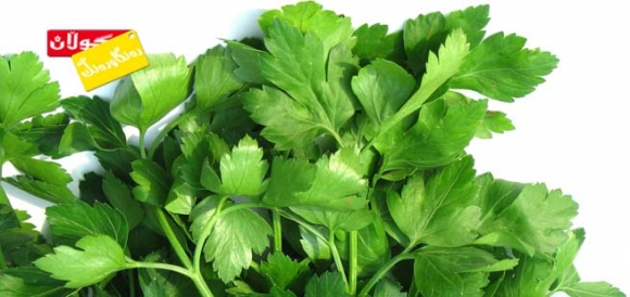 سوودە شاراوەكــانی مەعدەنوس