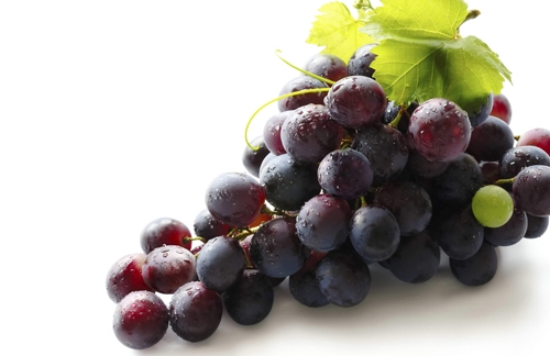 سوودەكانی ترێ