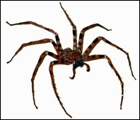 زانیاری بەسوود