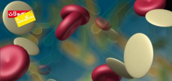 سەرچاوەی تووشبوون بە مشەخۆرەكان