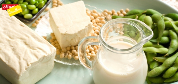 سوودەكانی پرۆتینی سۆیا