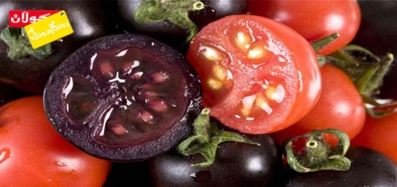 تەماتەی وەنەوشەییش پەیدا بوو!