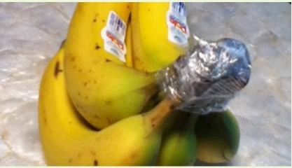 رێگایەکی سەرسوڕهێنەر بۆ پاراستن و مانەوەی مۆز بە تازەیی