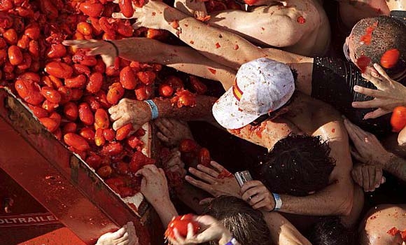 شەڕە تەماتە!