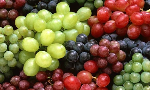 ترێی سپی یان ترێی رەش؟