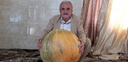 جوتیارێکی‌ کورد کولەكەیەکی‌ جیاواز به‌رهه‌مده‌هێنێت