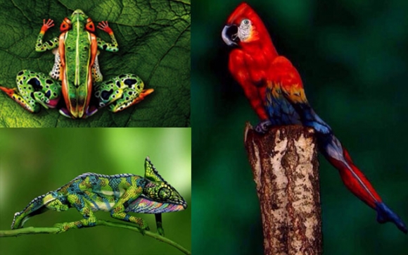 هونەری ونكردن