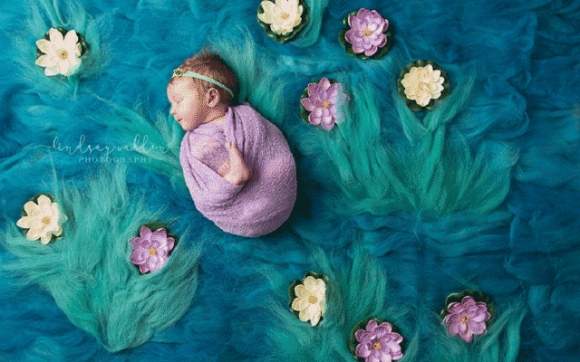 وێنەی فوتۆگراف لە نێو تابلۆدا