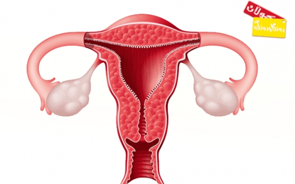 لابردنی منداڵدان ئەگەری نەخۆشی دڵ زیاد دەكات