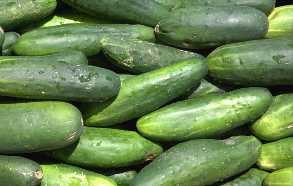 بەهای خۆراكی خەیار