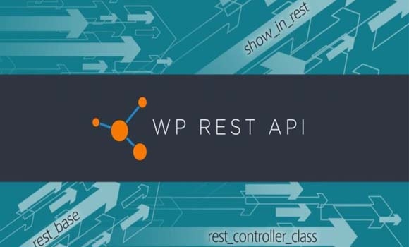 پاراستنی ماڵپەڕەکەمان لە ‌هێرشە ئەلیکترۆنیەکانی Brute Force لە ڕێگەی شاردنەوەی REST API