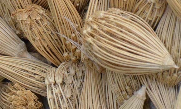 خریل لە كۆنەوە بۆ ددانەكان بەكارهێنراوە