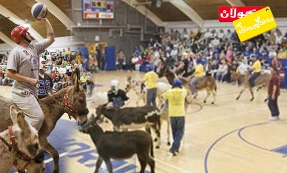 یاری باسكە و گوێدرێژ!