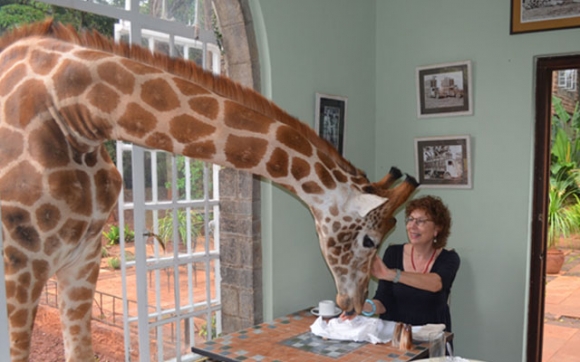 خوانێك لەگەڵ زەرافە  نۆش بكە