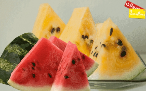 شووتی زەرد یان شووتی سوور؟