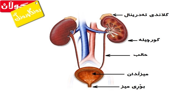 هەوكردنی میزەڕۆ