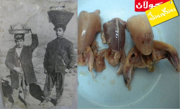 كێشكە و كۆتـــــــــــــری كوڵاو