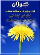 22ی شوباتی 2010